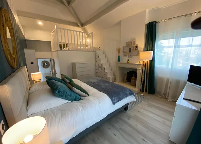 فيلة Face رويا